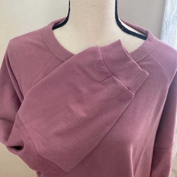 Eddie Bauer Mauve Raglan Crew French Terry long sleeve top Size XL NWT - Picture 3 of 13